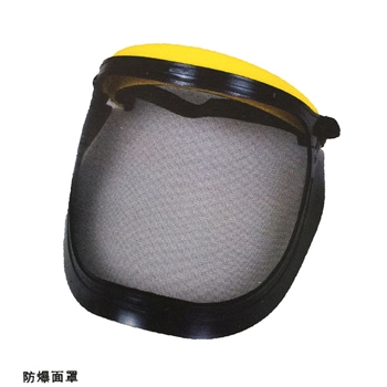 防爆面罩TSW-A 厂家直销 价格面议